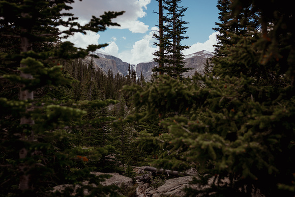 9F6A0088